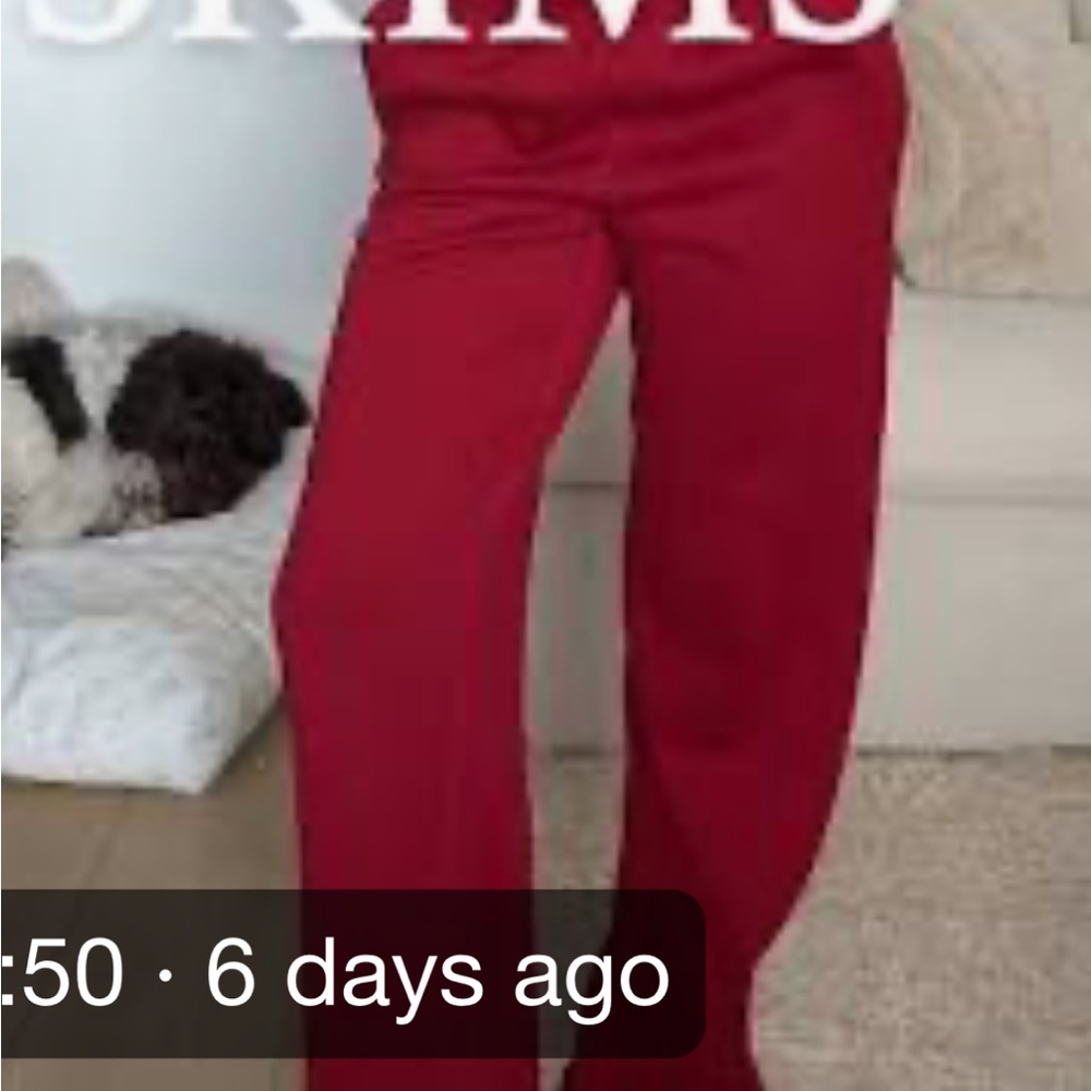 SKIMS Cotton Fleece Straight Leg Pant in Brick - Picture 3 of 4